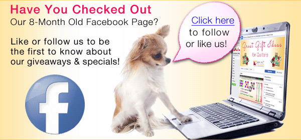 Follow us on our Facebook Page