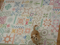 Quilt by kitty123